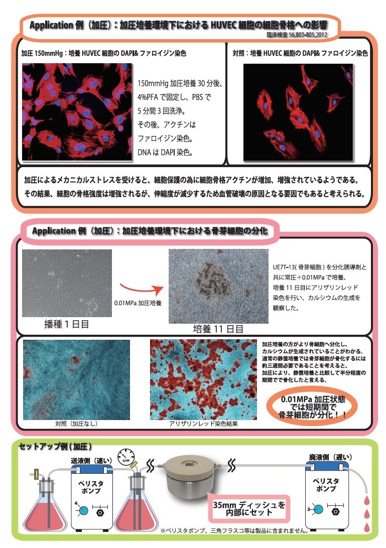 Images Of 中本和希 Japaneseclass Jp